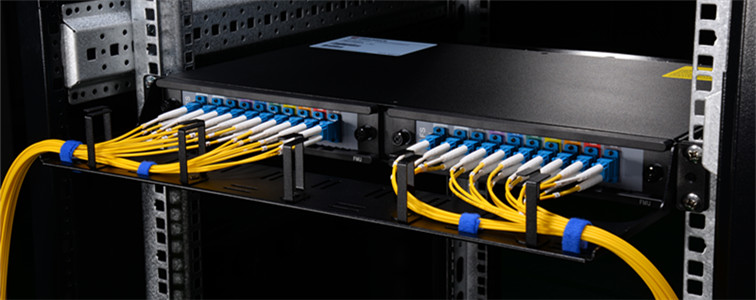 UPC fiber connect to the switch