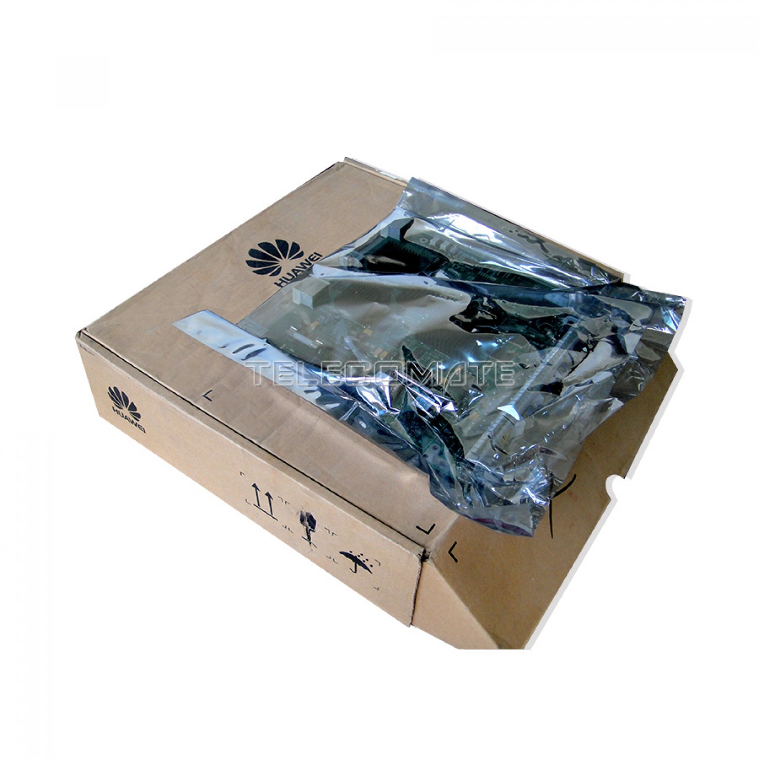 ssn4egs411-5-1500×1500-1.jpg SSN4EGS411