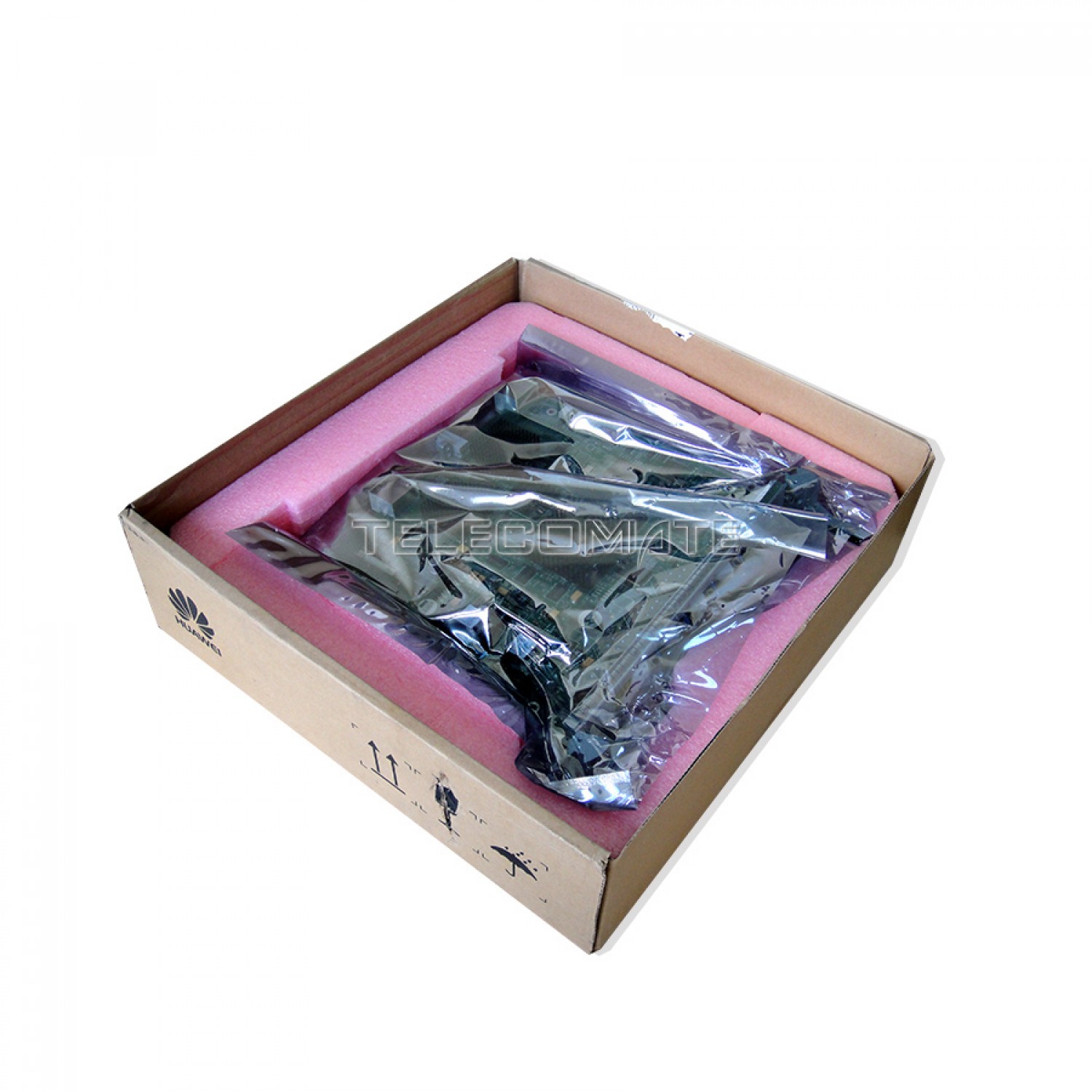 ssn4egs411-6.-1500×1500-1.jpg SSN4EGS411