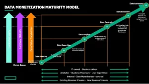 Data Monetization Maturity Model HPE