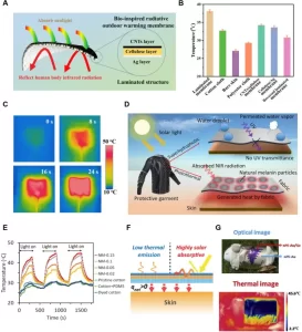40820 2024 1360 Fig12 HTML