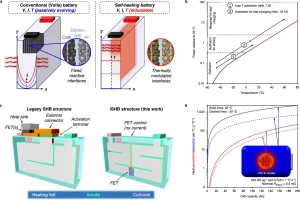 41467 2024 49389 Fig1 HTML