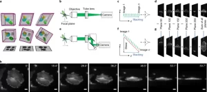 Huawei Core Switch: Network’s Beating Heart? Can Centralized Power Redefine Enterprise Scalability? 3 41592 2021 1175 Fig1 HTML