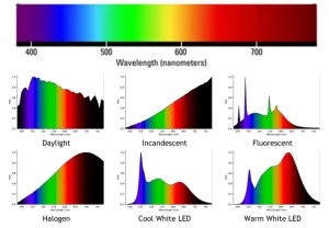 6502d1c7f6b3458c966569fe Screenshot 2023 09 14 172624