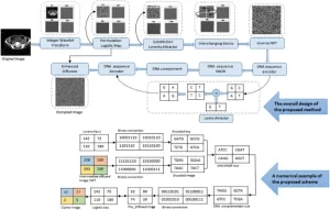 11517 2020 2178 Figc HTML