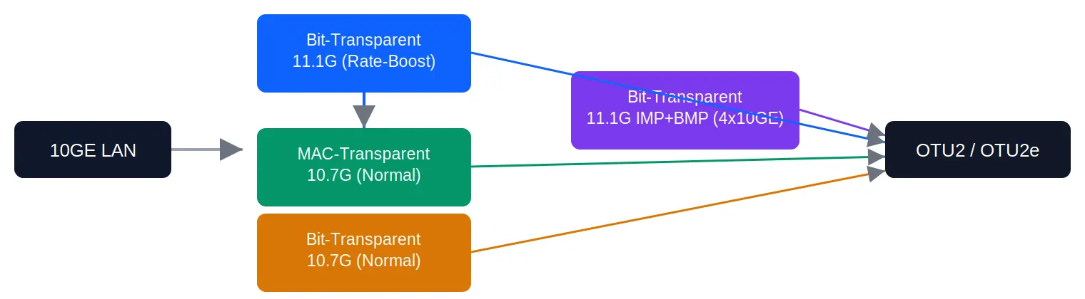 10GE LAN Mapping Methods: What's the Difference? 3 1